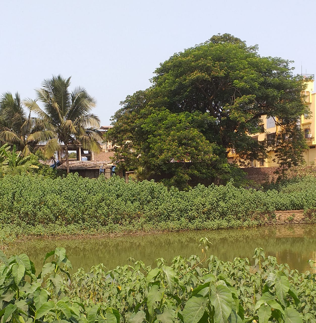 बोर्लीपंचतन तलावाचे सुशोभिकरण सर्वार्थाने सार्थ ठरावे