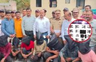 संतोष जाधव टोळीच्या ७ गुंडांना अटक, १३ पिस्तुले, मोबाईल जप्त