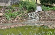 महानगरपालिका प्रशासनाच्या दुर्लक्षामुळे पर्यावरणाला धोका, ड्रॅनेटचे पाणी थेट पवना नदीत
