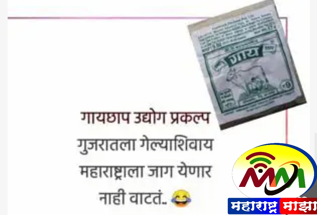 घे चुना मळ पुन्हा… राज्यातून प्रकल्प बाहेर जात असताना सोशल मीडियावर ‘गायछाप’ ब्रँड चर्चेत