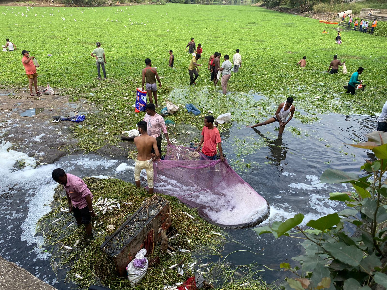 पवना नदीत सोडले जातेय ड्रेनेजचे पाणी ; श्रीरंग बारणे