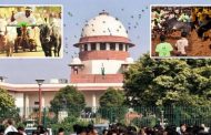 भिर्रर्रर्र.....सर्वोच्च न्यायालयाचा मोठा निर्णय, बैलगाडा शर्यतीला दिली परवानगी!