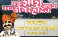 हिंजवडी ग्रामपंचायत निवडणुकीसाठी सदस्यांचा काय झाडी...काय डोंगर असा गुव्हाटी प्रवास