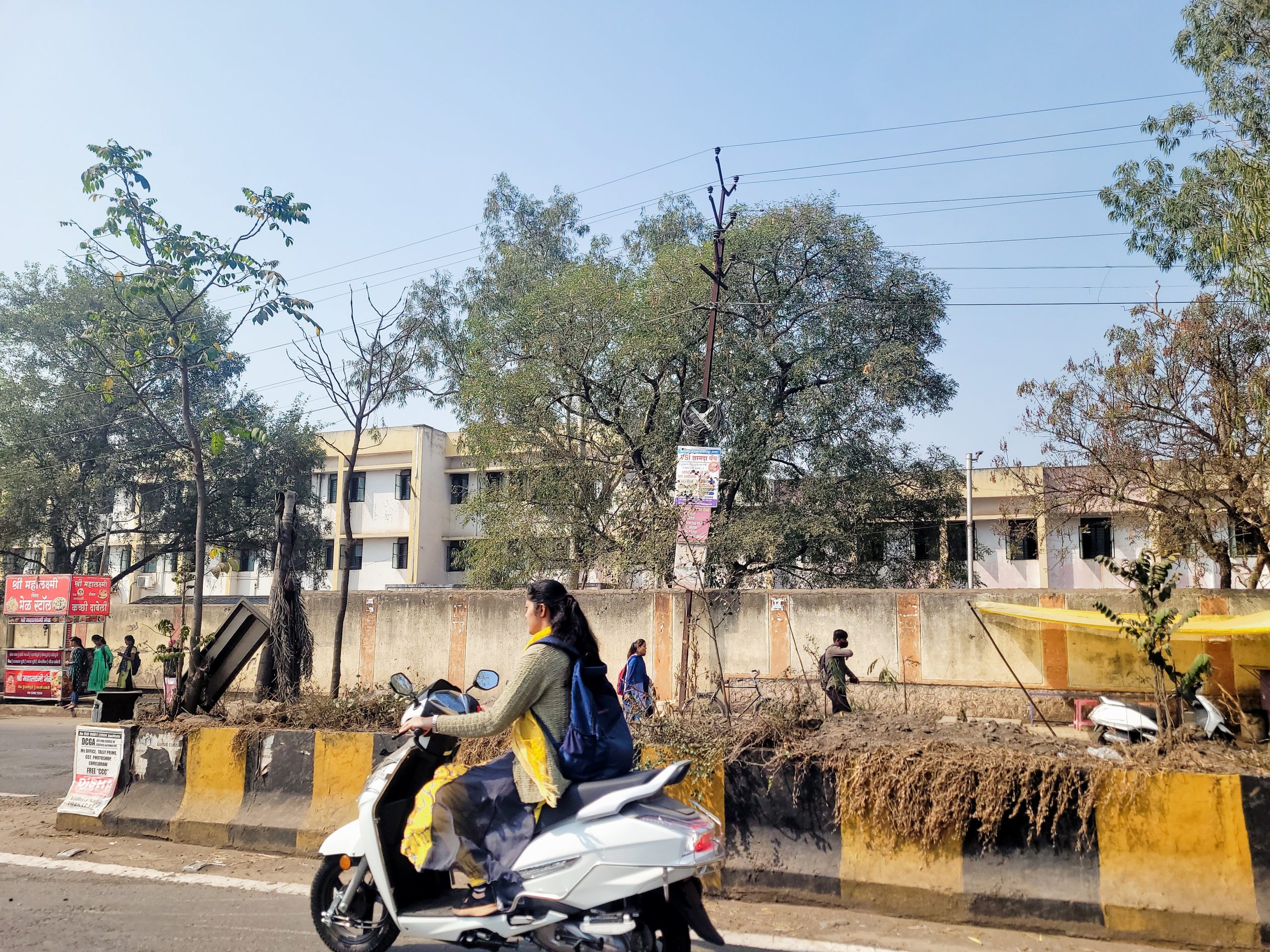 नदीच्या कुशीतील कराड शहरातील झाडे पाण्याविना सुकली