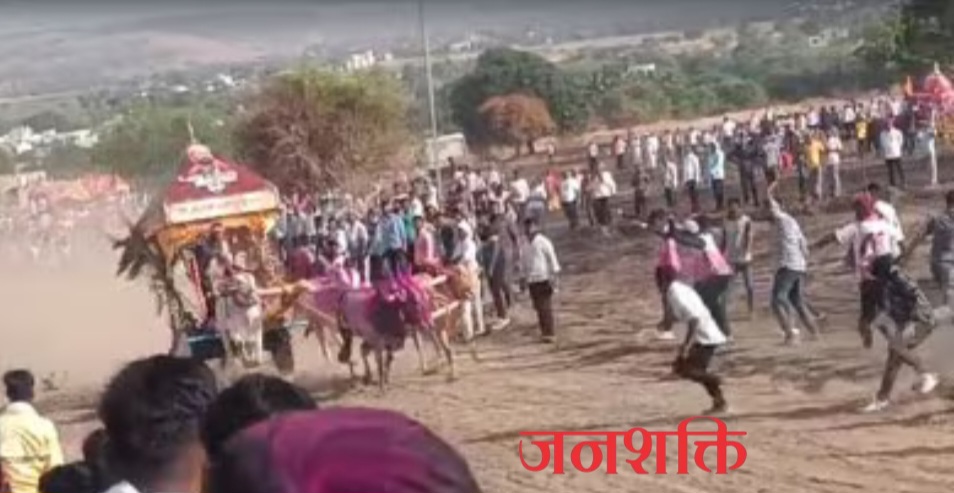 सांगली:  बैलगाडा शर्यतीवेळी चाकाखाली सापडून तरुणाचा मृत्यू