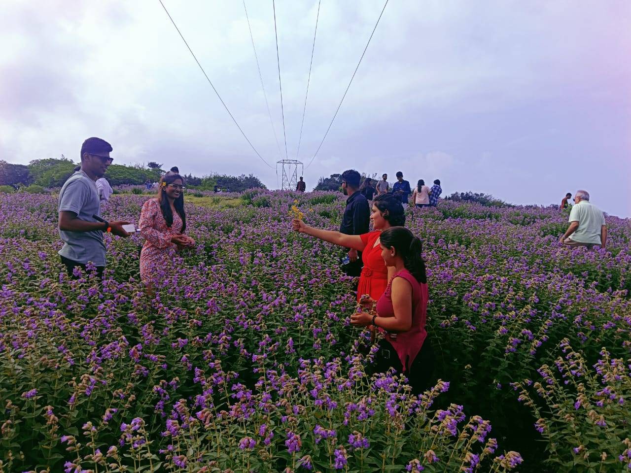 'कास’नंतर पर्यटकांची पावले लोणावळ्याकडे वळली