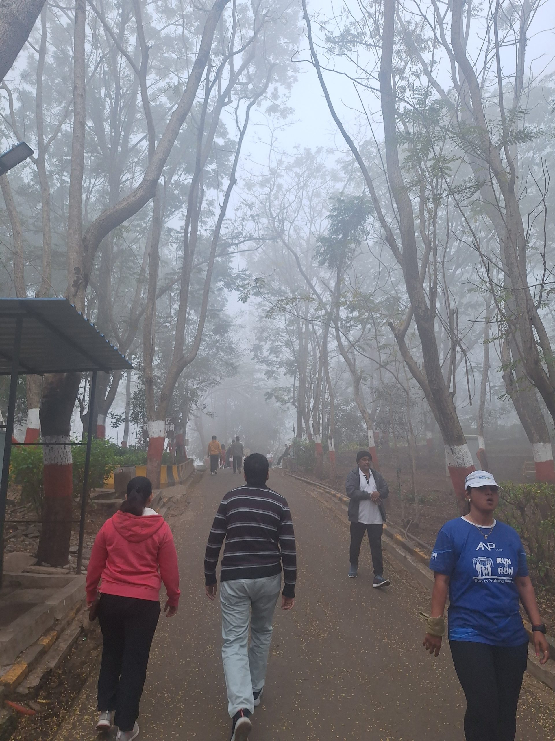 शहरात थंडीचा कडाका, धुक्याने शहरावर पसरली चादर